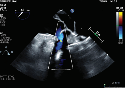 Gambhir-Fig2A-Jan2025