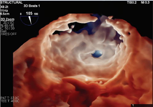 Gambhir-Fig2B-Jan2025