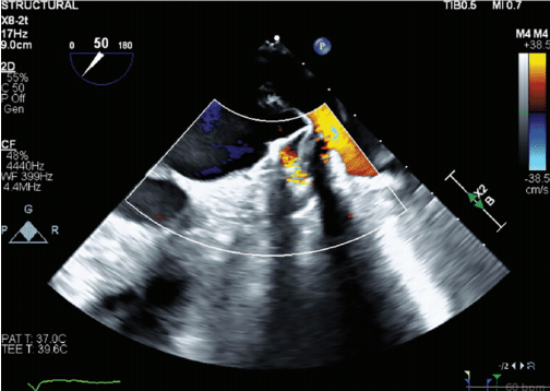 Gambhir-Fig5A-Jan2025