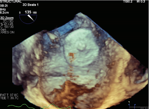 Gambhir-Fig5B-Jan2025