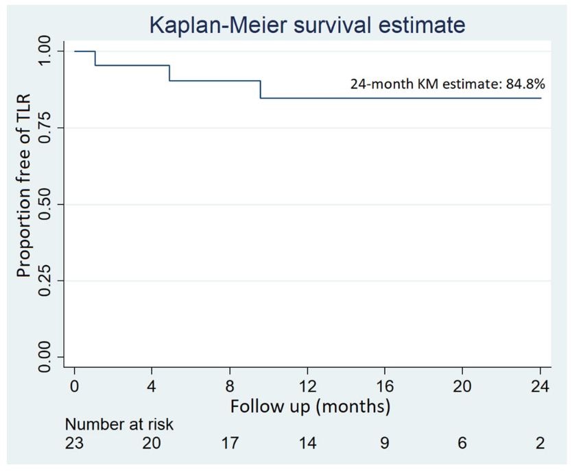 Giannopoulos Drug-Eluting Stent Figure 1