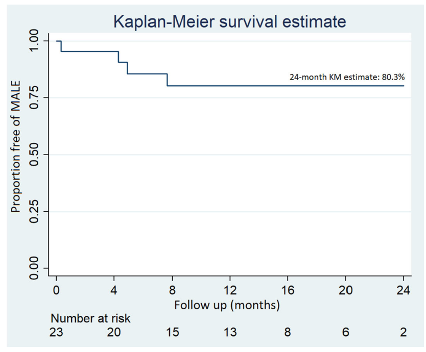 Giannopoulos Drug-Eluting Stent Figure 2