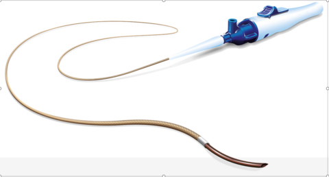 GoBack Catheter