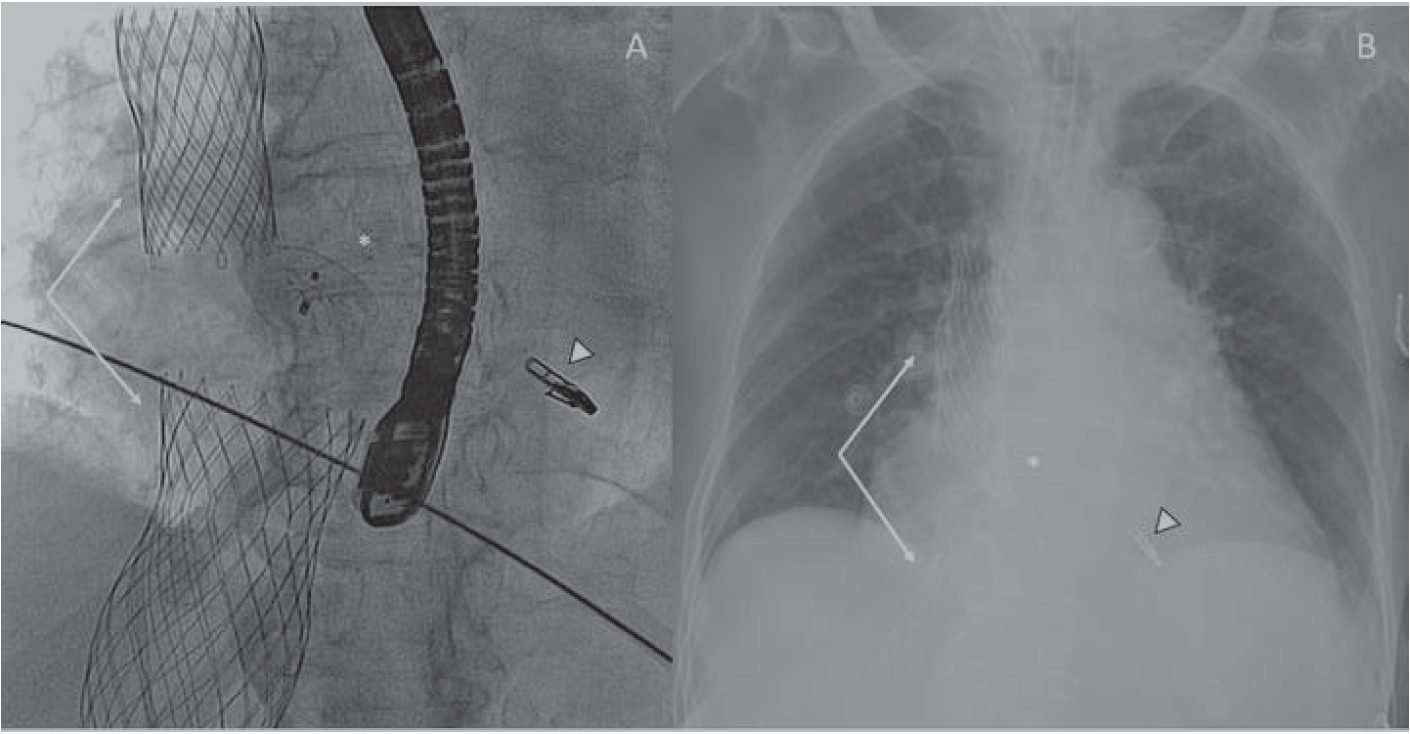 Gonzálvez-García Three Devices On One Fig 3