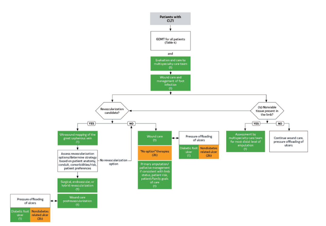 Gornik - Fig 2 - Aug 2024