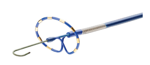 Goyle-Fig4-Feb 2026.png 