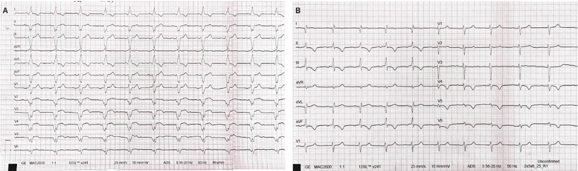 Gul - Fig 1 - Oct 2024 