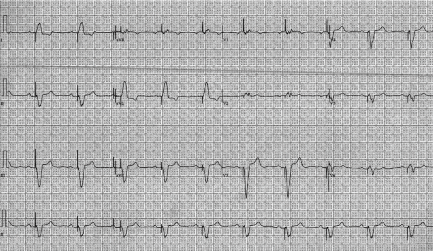 Hadadi - Fig 1 - Nov 2024 