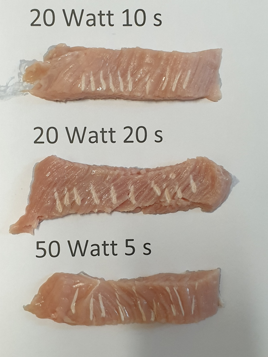 Figure 4. In vitro model: lesions at different ablation settings.