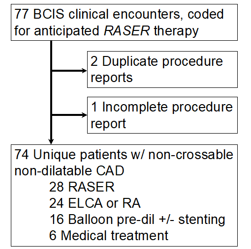 Figure. Study flowchart