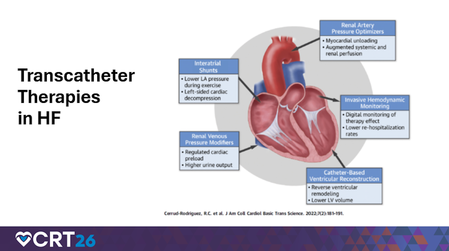 Hofmeyer Transcatheter Therapies in HF
