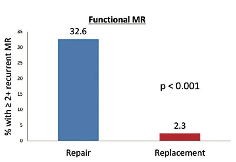 IAGS Greenbaum 5.2 TMVR Figure 1