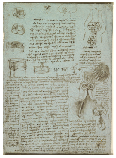 IAGS Meduri 2.2 TAVR Figure 1