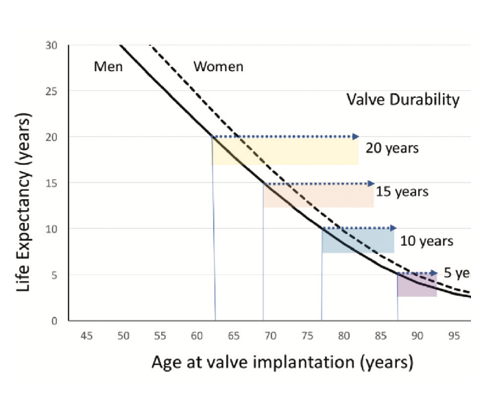 IAGS Meduri 2.2 TAVR Figure 3
