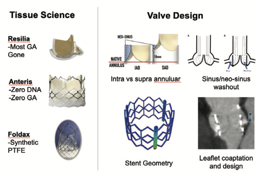 IAGS Meduri 2.2 TAVR Figure 4