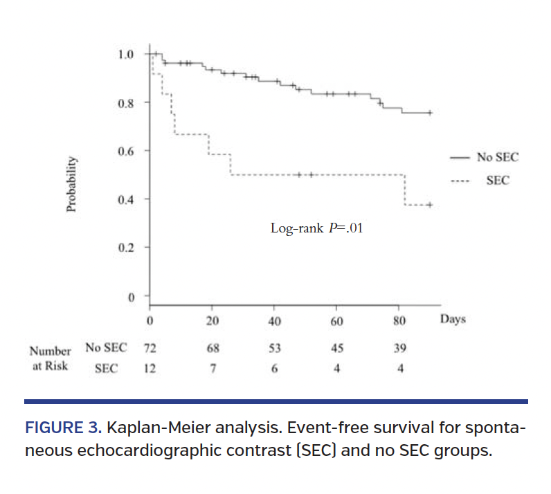 FGURE 3. Kaplan-Meier analysis..png