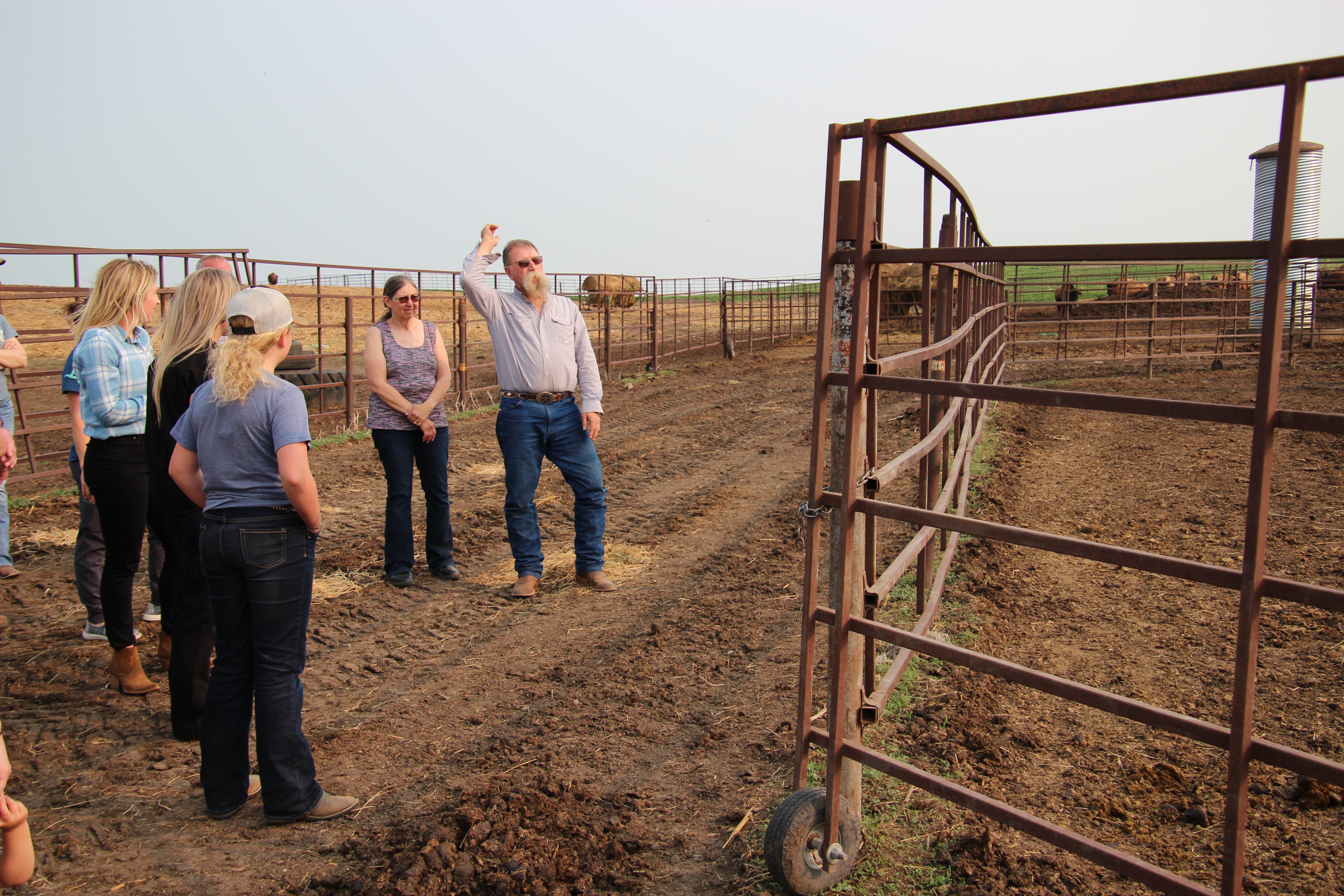 Avel eCare Telemedicine Saves Man Gored By Bison