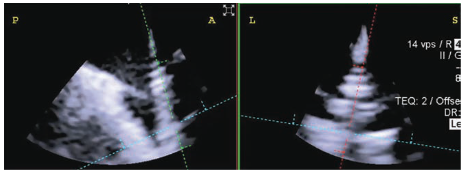 ImagingCorner Figure 2