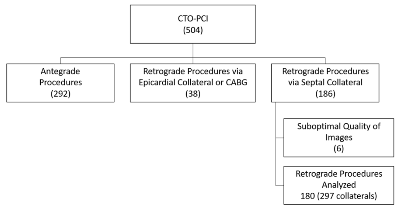 Ioppolo Chronic Total Occlusion Figure 1