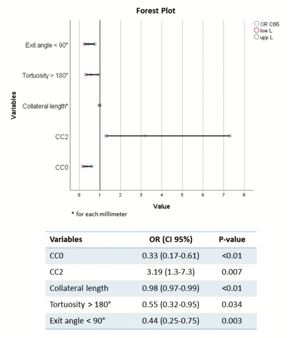 Ioppolo Chronic Total Occlusion Figure 3