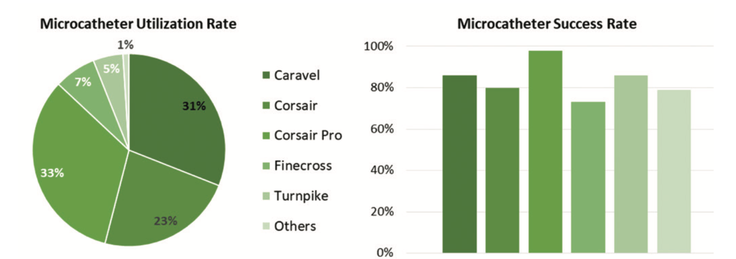 Ioppolo Chronic Total Occlusion Figure 5