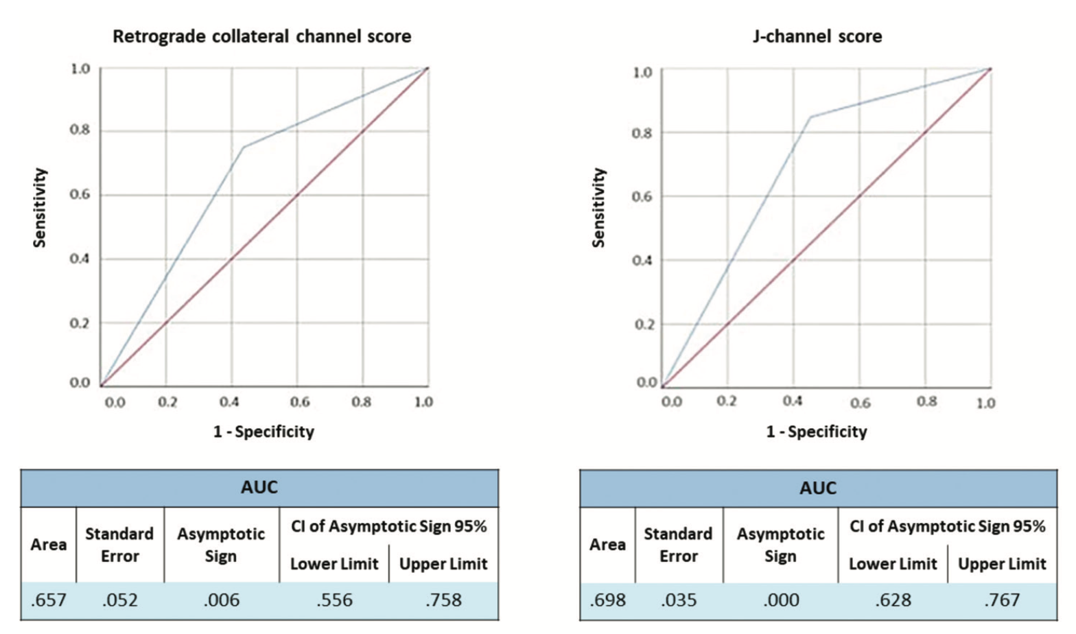 Ioppolo Chronic Total Occlusion Figure 6