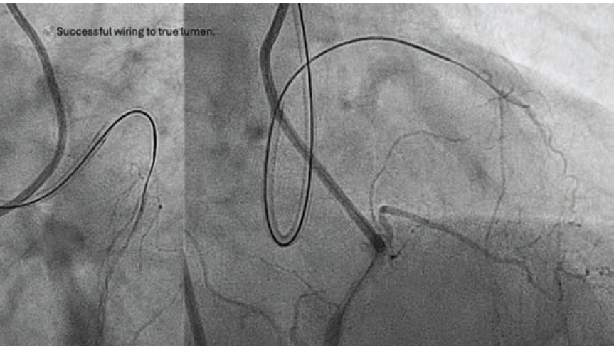 JIC Picks - Fig 1 - Oct 2024