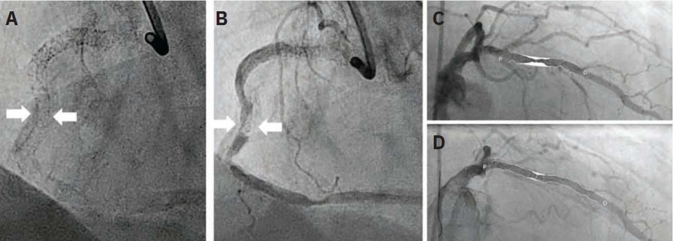 JIC Picks - Fig 2 - Oct 2024