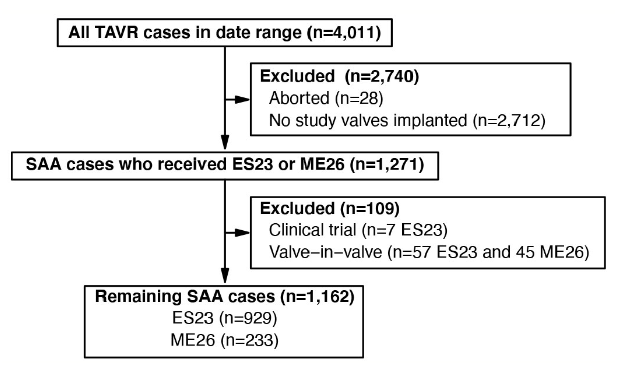 Jin Small Aortic Annulus Figure 1
