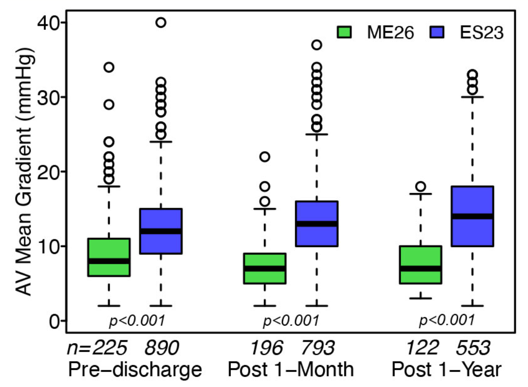 Jin Small Aortic Annulus Figure 2