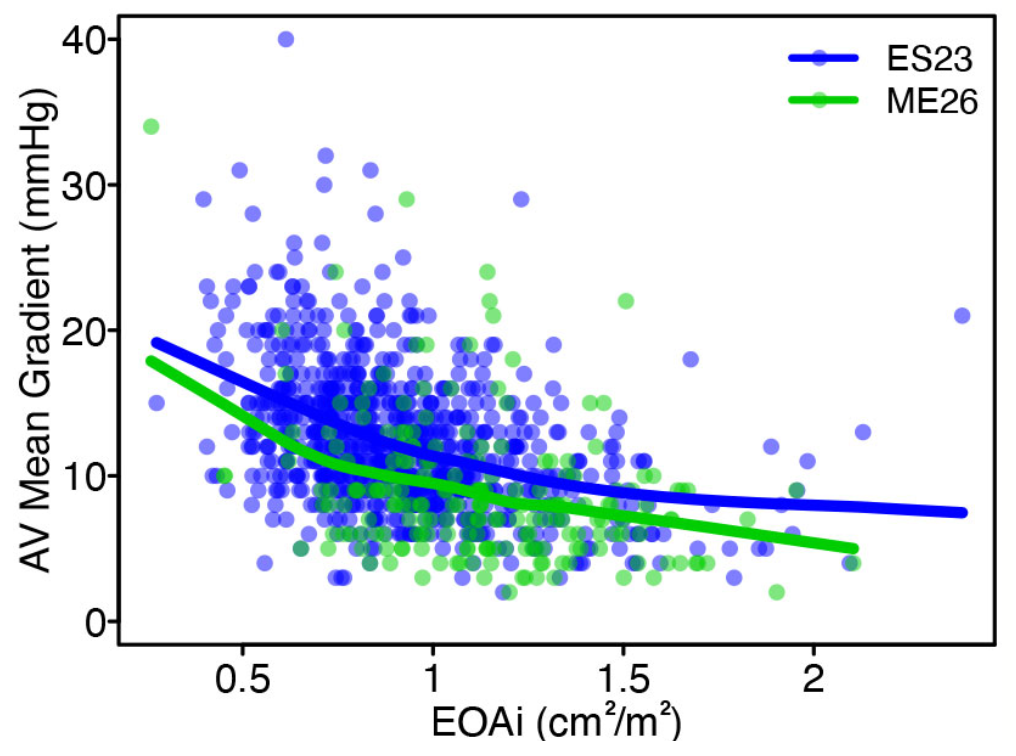 Jin Small Aortic Annulus Figure 4