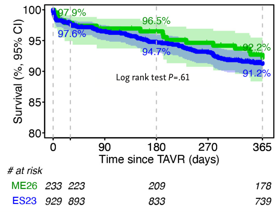 Jin Small Aortic Annulus Figure 5
