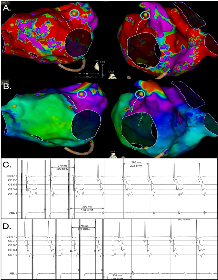 Johnson-Fig4-June2024