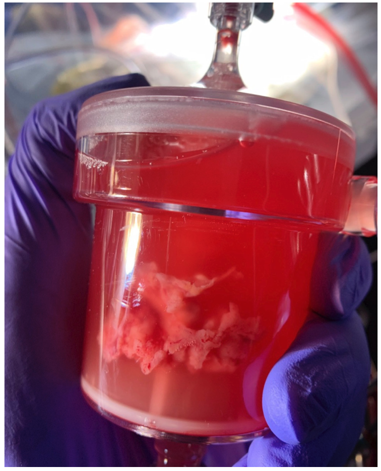 Judson Valves Figure 1