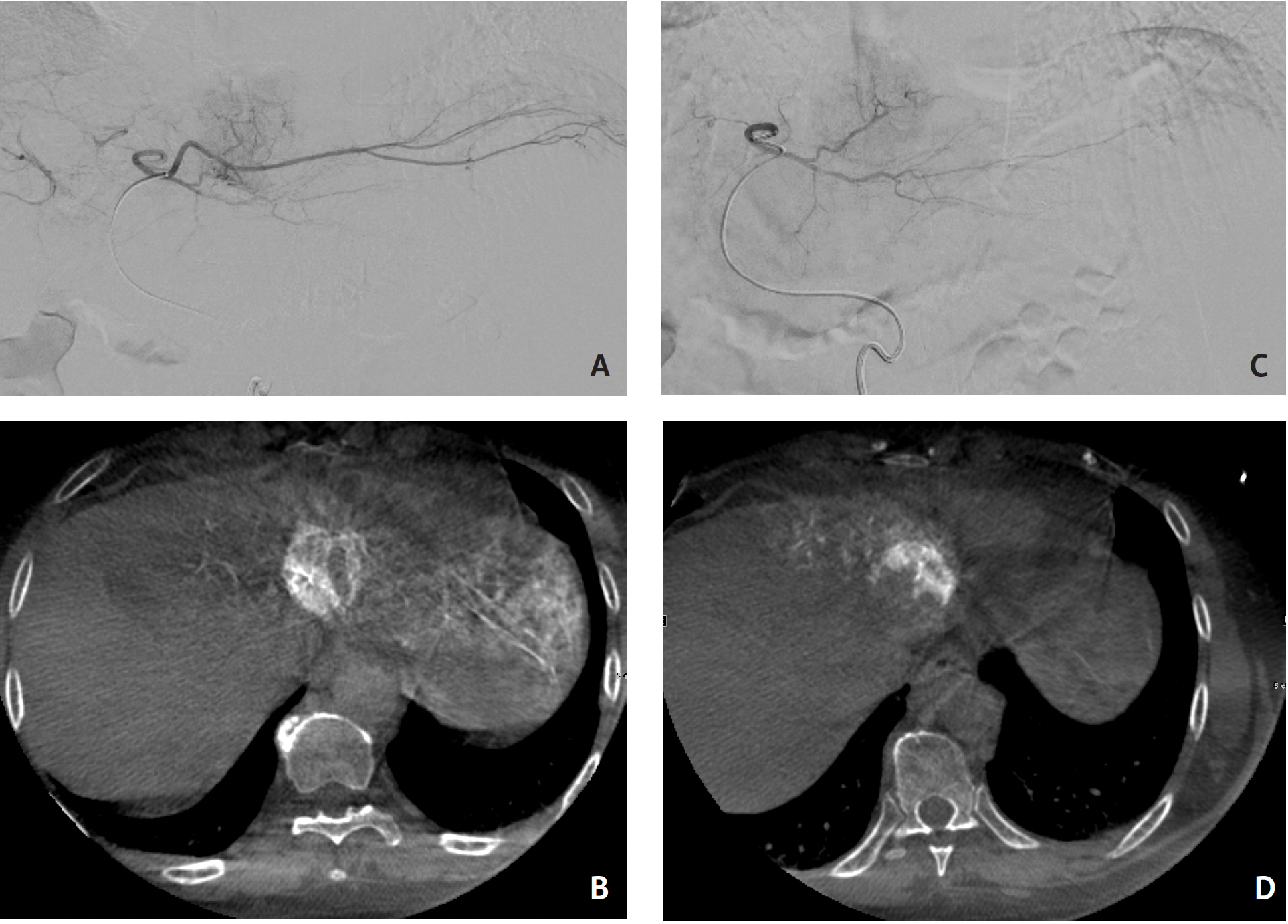 Kamel IO Learning Interview Figure 1 Part 1