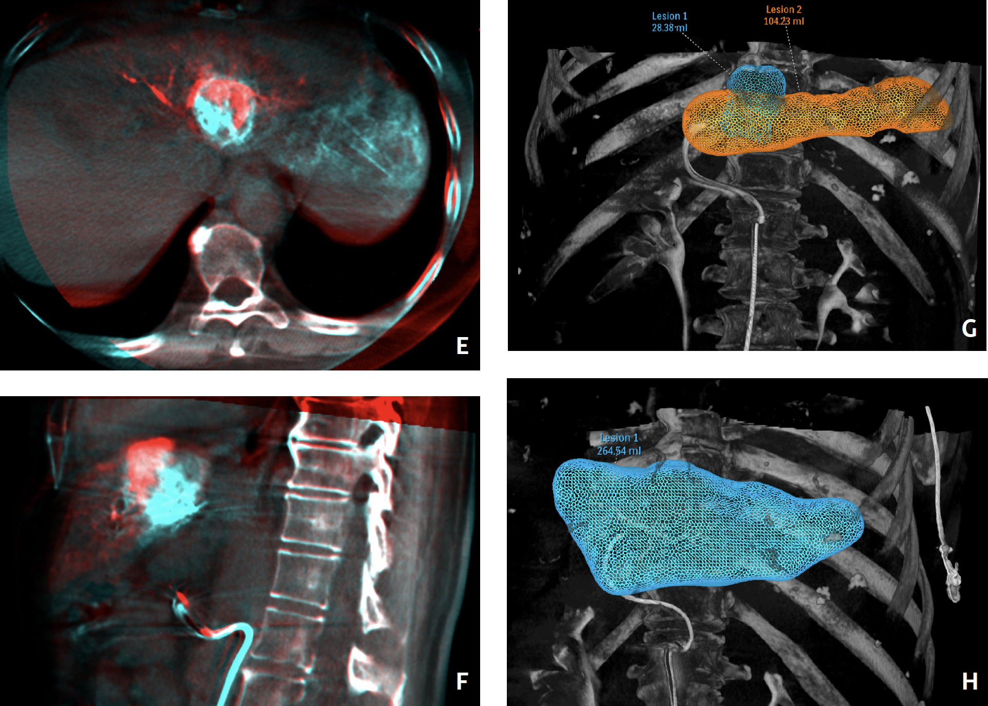 Kamel IO Learning Interview Figure 1 Part 2