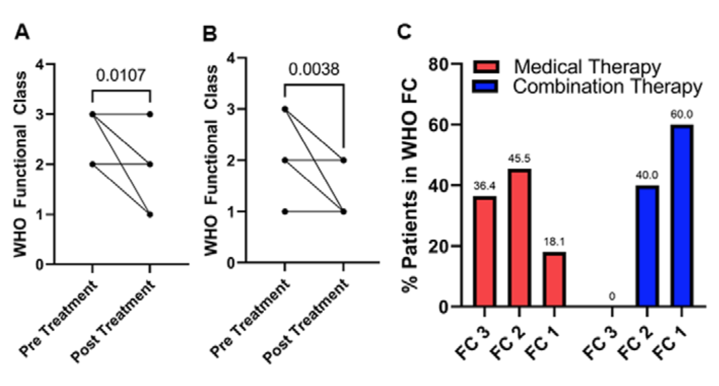 Kazmirczak Angioplasty Figure 2