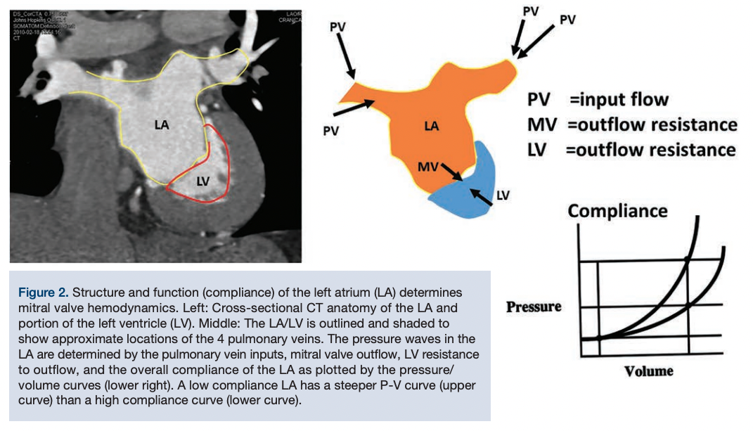CLD Kern Figure 2