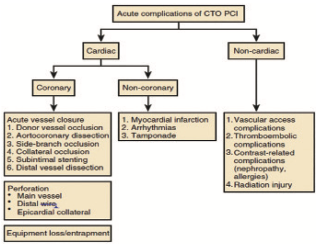 Kern CTO Figure 2