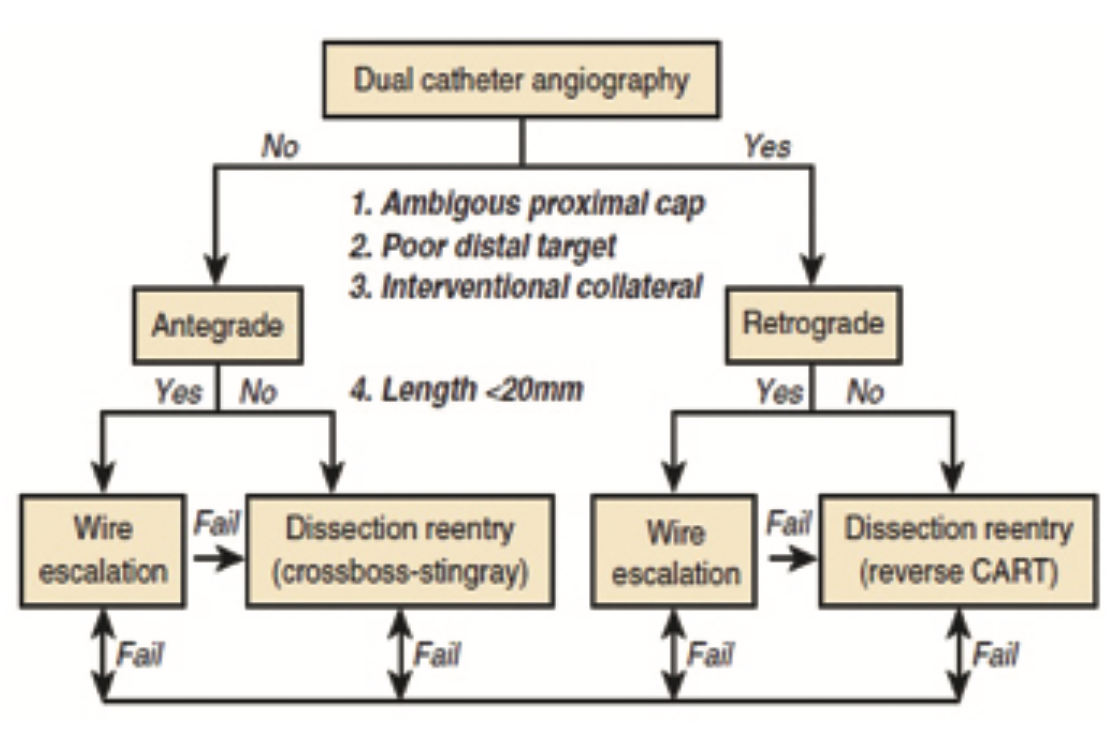 Kern CTO Figure 7