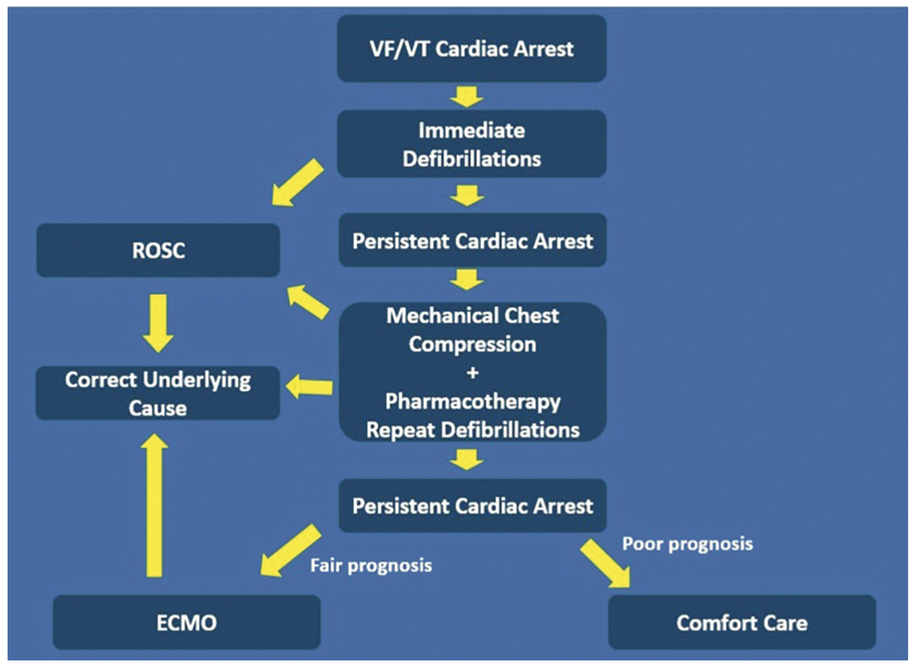 Kern Cath Lab CPR Fig 2