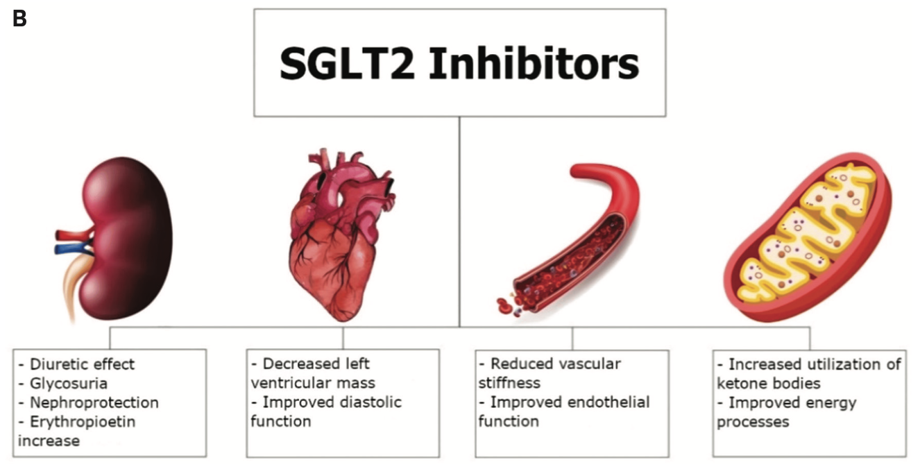 Kern New Medications Figure 1B