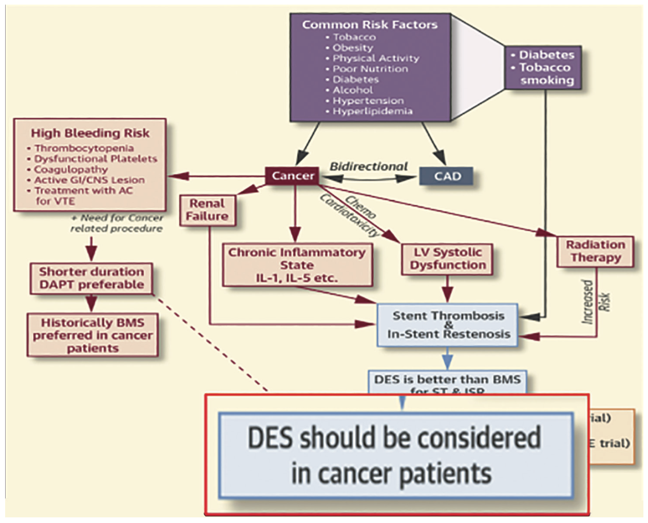 Kern Stents Figure 2