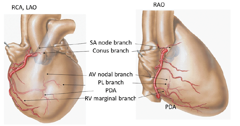 Kern CLD Figure 10B Aug 2023