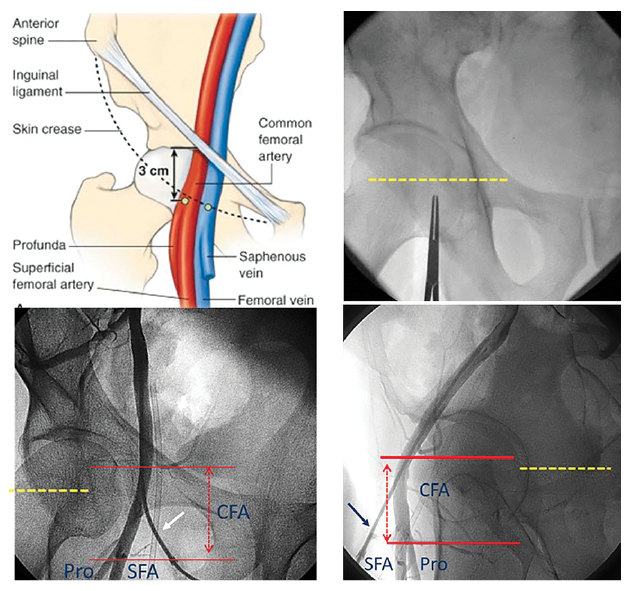 Kern Figure 5 CLD August 2023