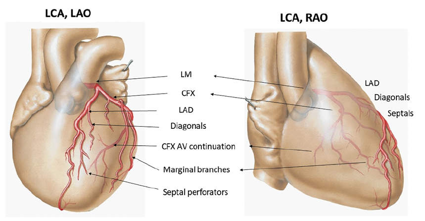 Kern Figure 10A CLD Aug 2023