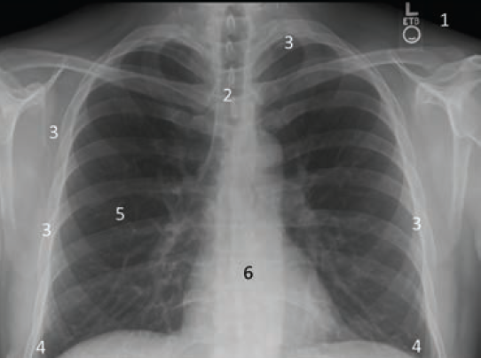 Kern-Fig1-April 2025.png 