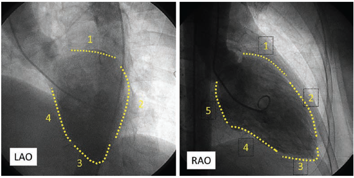 Kern-Fig10-April 2025.png 