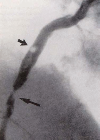 Kern-Fig2-CLD-Aug 2025.png 