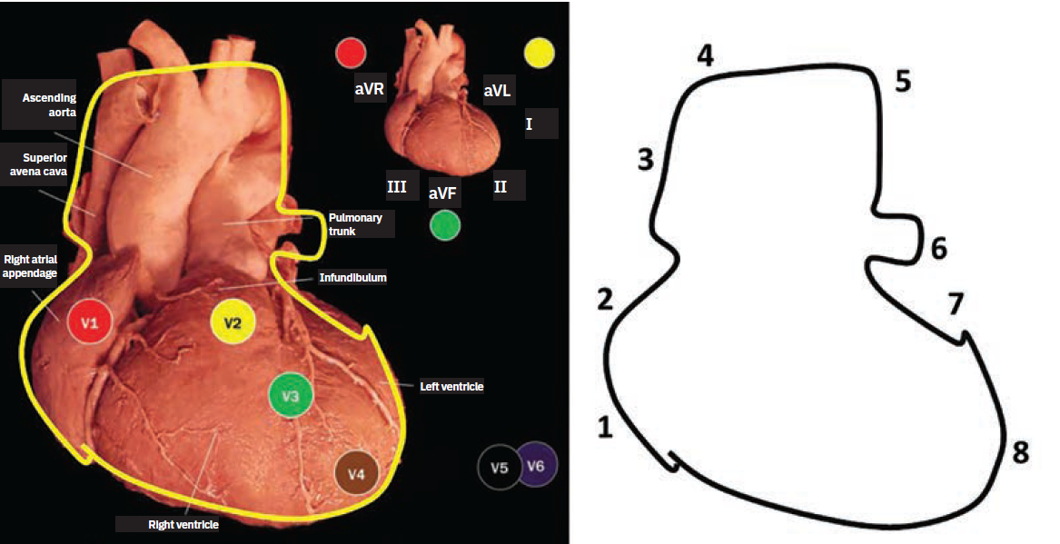 Kern-Fig3-April 2025.png